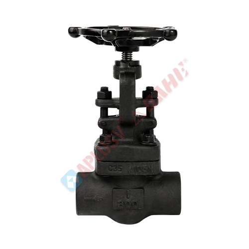 J61Y/H forged steel globe valve